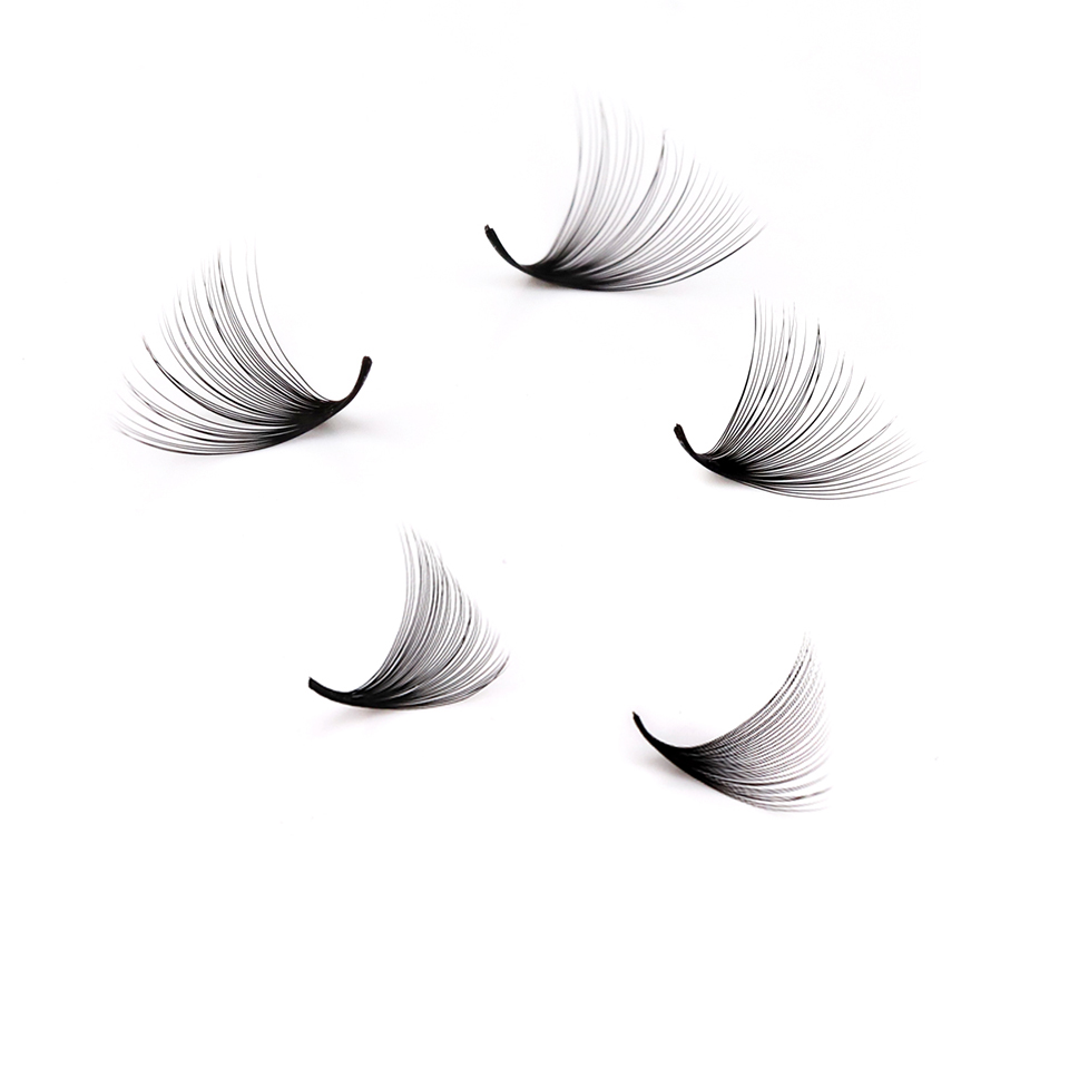 Lashprofessor XL Tray 3D 4D 5D - Eyelash Extension Mega Volume recension och pris