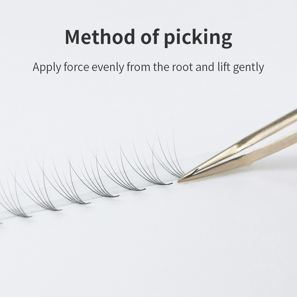 GLAMLASH Premade Volume Fan Ey - Eyelash Extension Mega Volume recension och pris